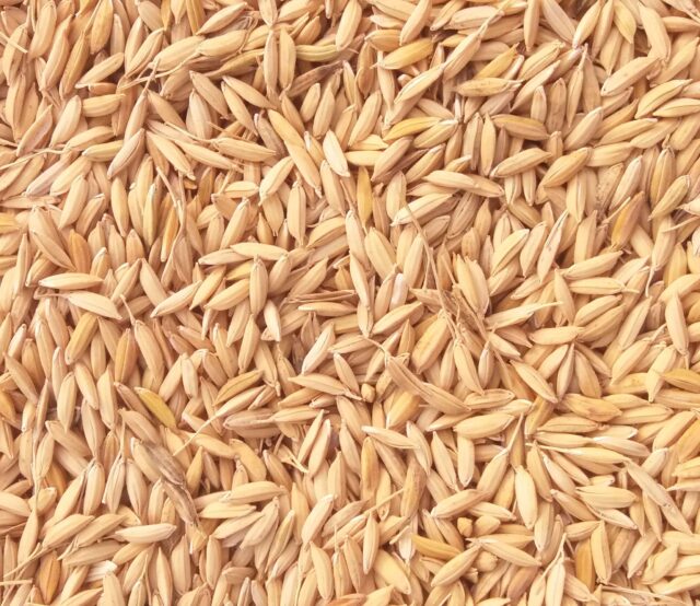 Rice Husk