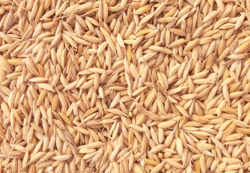 Rice Husk