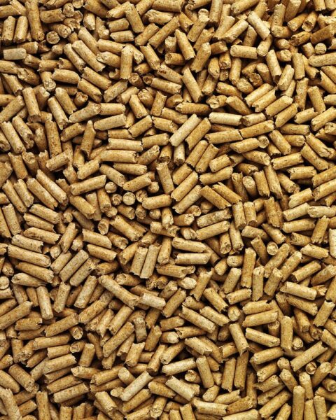 -FJPG-TwebHeader_1x1-S1024x1024