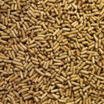Wood Chip