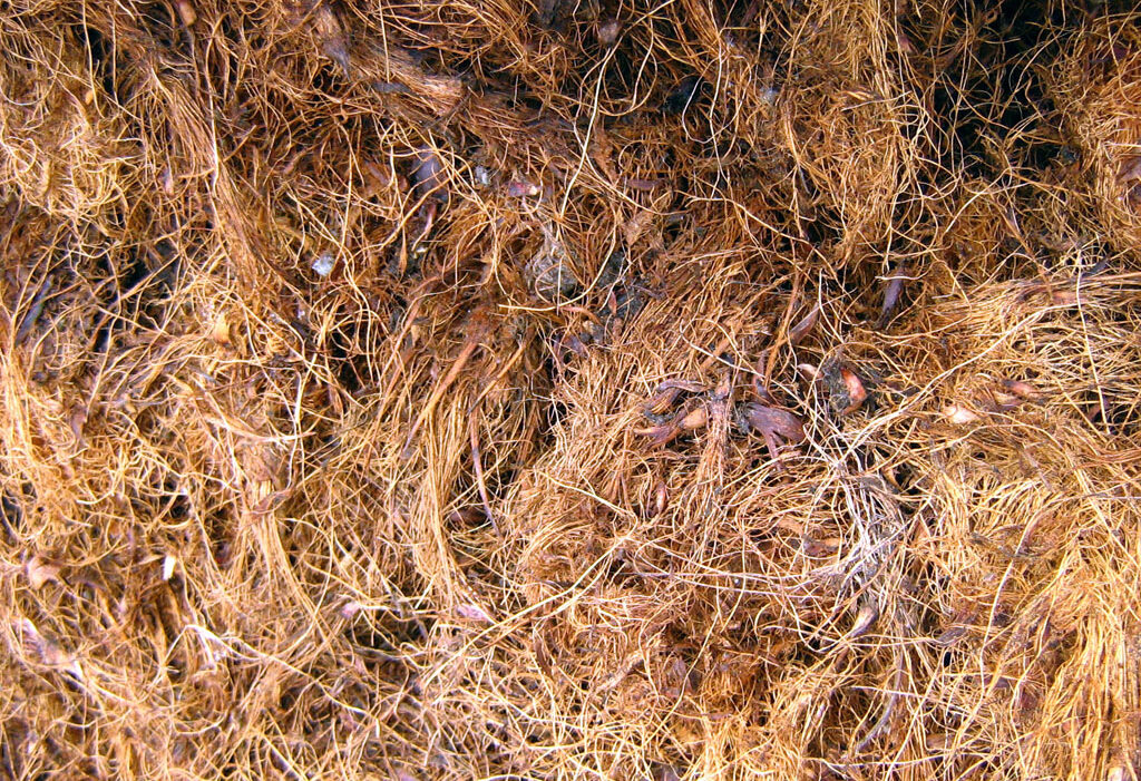 OilPalmFiber027
