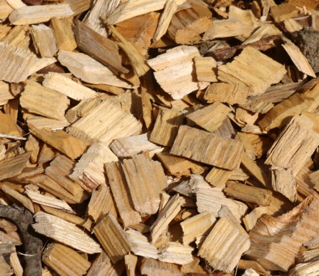 Wood-Chip-Mulch