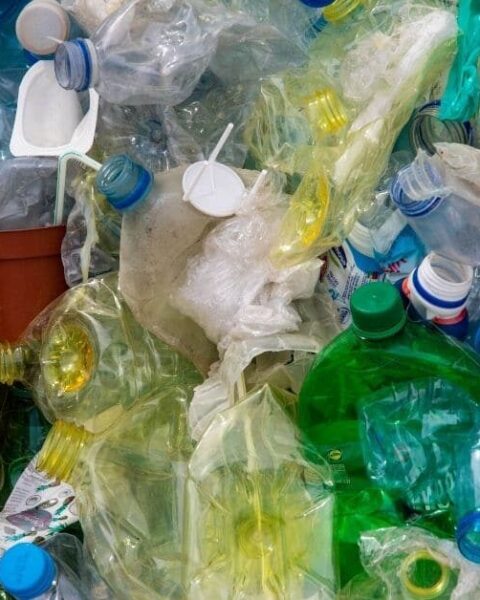 Paper Plastic Waste